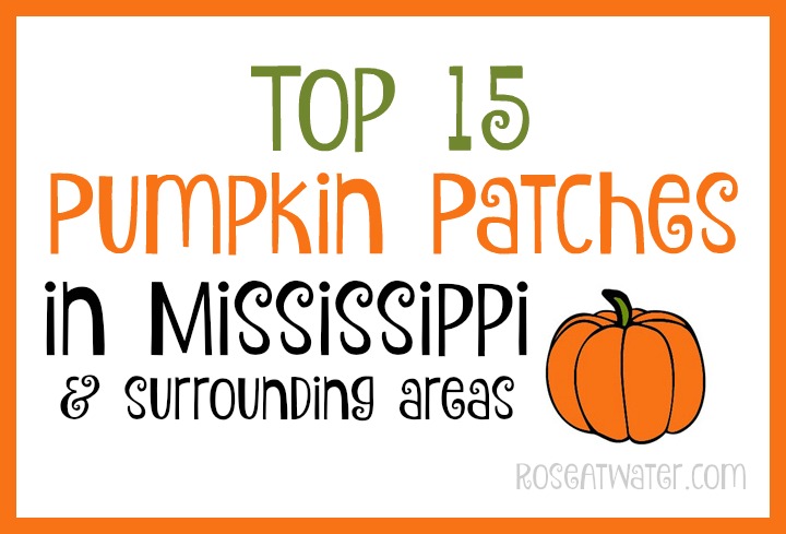 Top 15 Pumpin Patches in Mississippi & Surrounding Areas at RoseAtwater