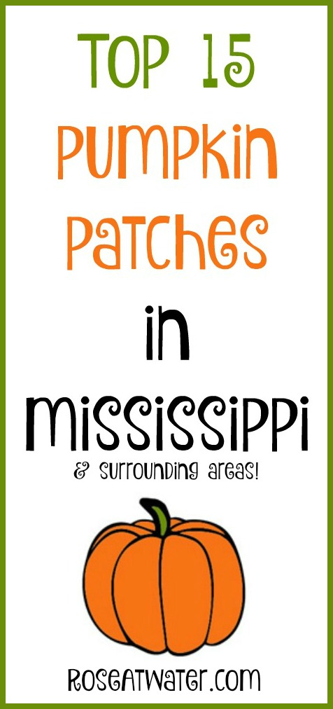 Top 15 Pumpkin Patches in MS