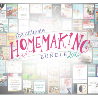 Last Chance to Get $1,000+ Worth Of Resources for Just $29 (including a FREE Craftsy Class!)