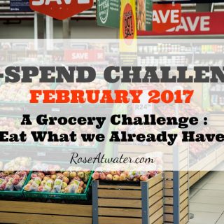 We sort of bombed the No-Spend Challenge yesterday. {Day 22}