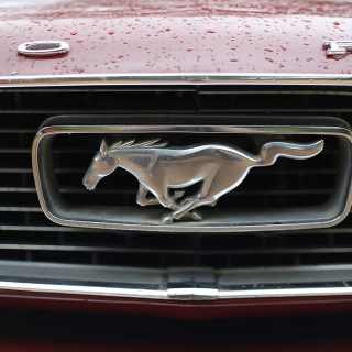 A Night Out in the Mustang + Day 3 No Spend Challenge