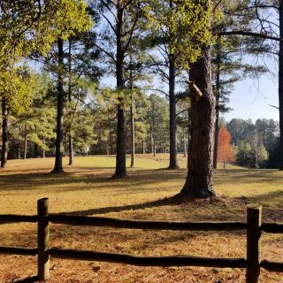 Help us name our property!